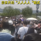 人從眾，西湖斷橋五一假期變“人橋”，有人在高速上遛狗，你還想出門么