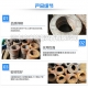 防水翼環(huán)使用廣泛，那么你知道防水翼環(huán)的設(shè)計理念和特點嗎？